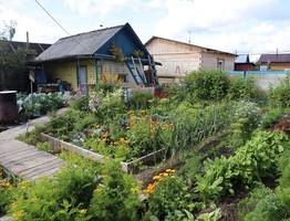 Больше ни за что не выброшу пасынки и ботву томатов в компост – благодаря ним я сэкономил "целое состояние": рабочие лайфхаки