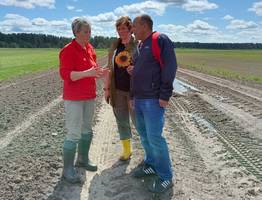 В Коми строят современную ферму для выращивания молодняка крупного рогатого скота