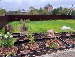 Что стоит посадить в июне: 6 культур, которые спасут пустующие грядки