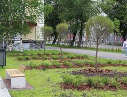 В Сыктывкаре озеленяют сквер у Дворца творчества