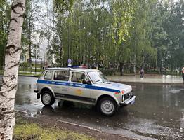 Сыктывкарцы активно сообщают о пьяных водителях