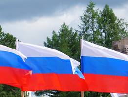 Житель Коми получил срок за сожжение государственного флага