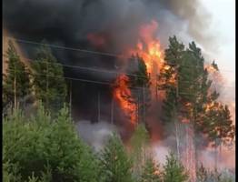 Коми лесной спецназ вернулся с победой из Забайкалья