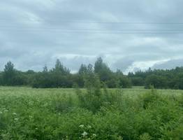 17 июня лето временно покидает Коми: везде прохладно и дождливо