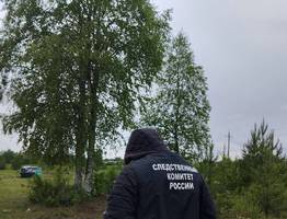 Шокирующий инцидент в Коми: после убийства матери задержан подросток
