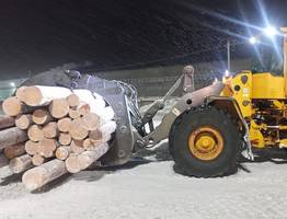 Следком Коми установил причины гибели работницы на лесоперерабатывающем предприятии