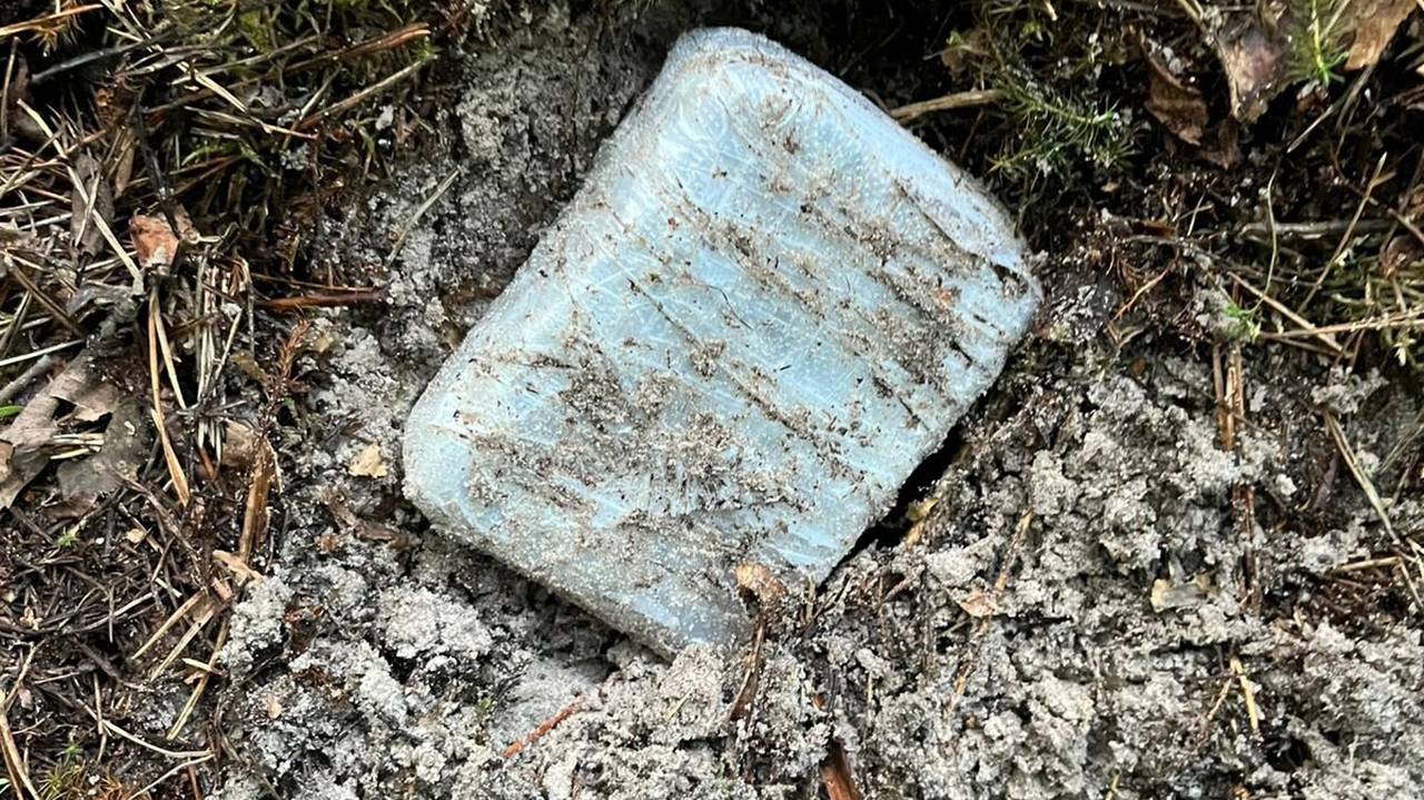 Главная картинка новости: В Коми задержан "оптовик" с почти килограммом наркотиков