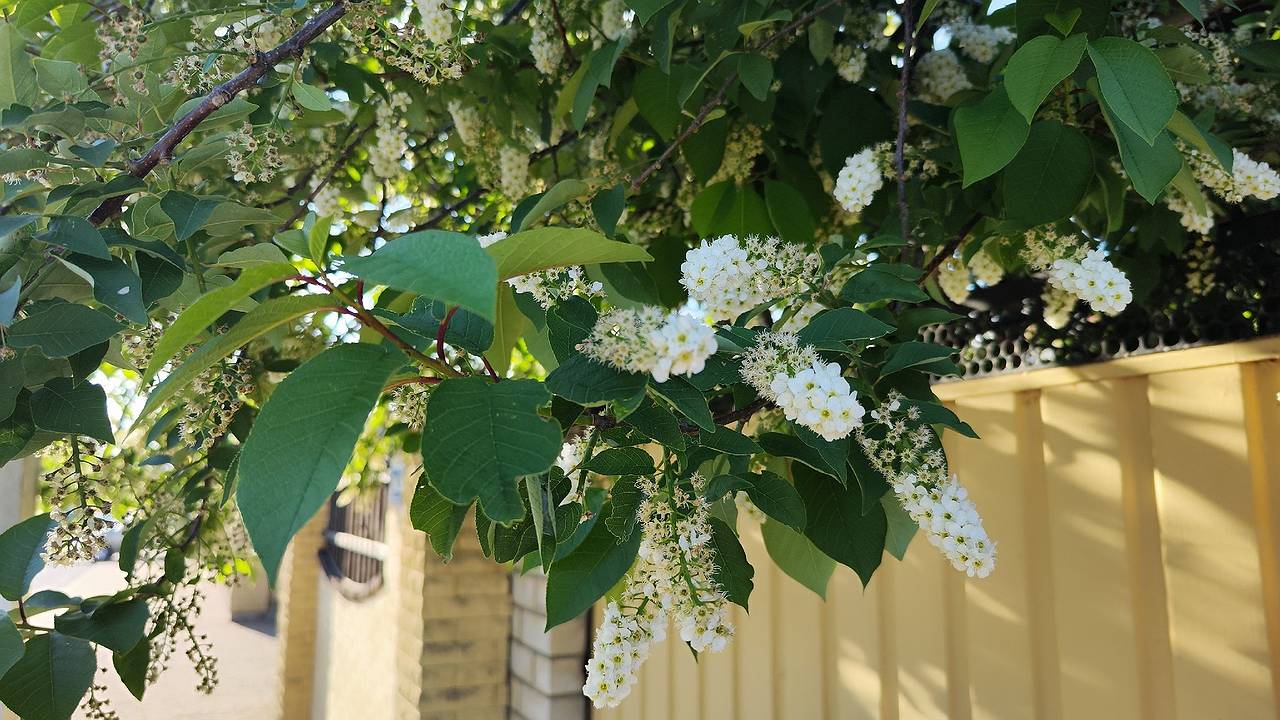 Главная картинка новости: «Аномальная жара до +35 вернется, но с подвохом». Синоптики озвучили новый прогноз на конец июня