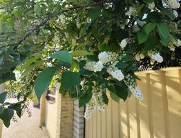 «Аномальная жара до +35 вернется, но с подвохом». Синоптики озвучили новый прогноз на конец июня