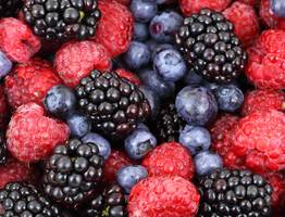 Ученые назвали вещество, не дающее сосудам "черстветь" — им богата любимая многих ягода