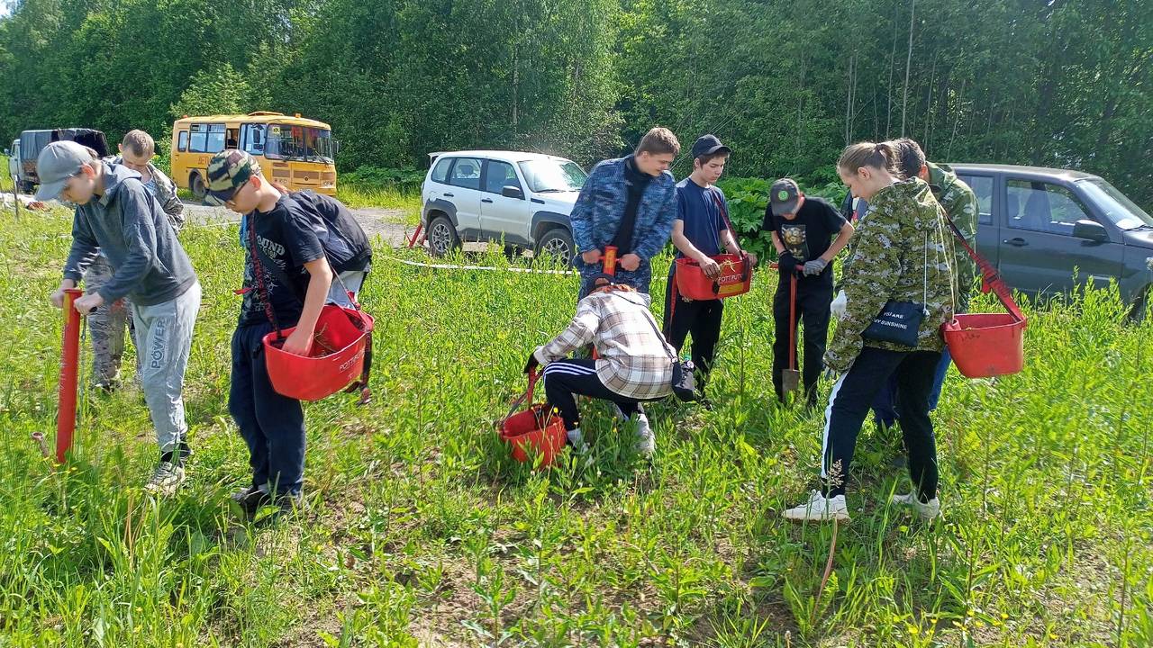 Главная картинка новости: В Коми продолжают выращивать гигантский геоглиф