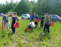 В Коми продолжают выращивать гигантский геоглиф