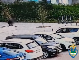 В Сыктывкаре поймали вандала, позарившегося на золотые яблоки