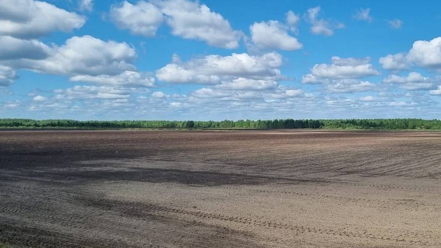 Главная картинка новости: В Коми завершают посевную кампанию и готовятся ко Дню поля