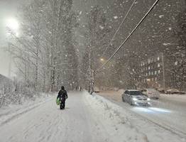 Мокрый снег и заморозки: Гидрометцентр объявил о резком похолодании с 26 июня