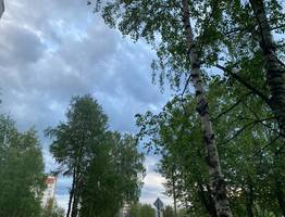 Коми встречает 24 июня прохладный день с неожиданным ночным снегом на севере