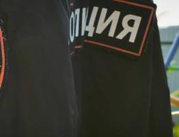 Жестокое убийство домашнего животного в Коми: пенсионеру грозит до 5 лет тюрьмы