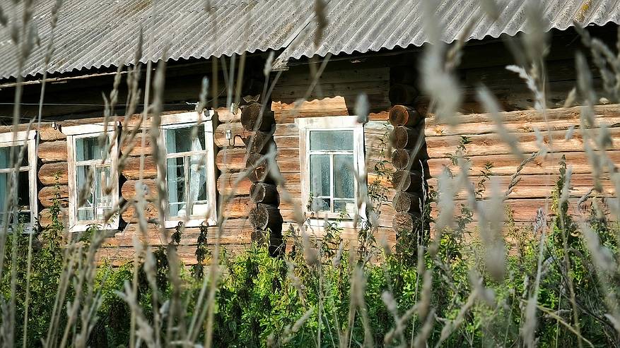 Главная картинка новости: С 1 июля начнут забирать землю: всех, у кого участок или дача в собственности, ждет новое правило