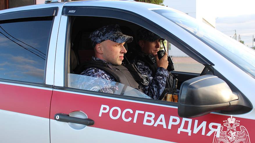 Главная картинка новости: В Коми поймали воров, действовавших через терминал самообслуживания