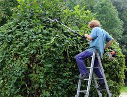"И зачем так мучиться, убери леску с триммера": сосед из деревни подсказал, как легко косить траву и не тратиться на леску