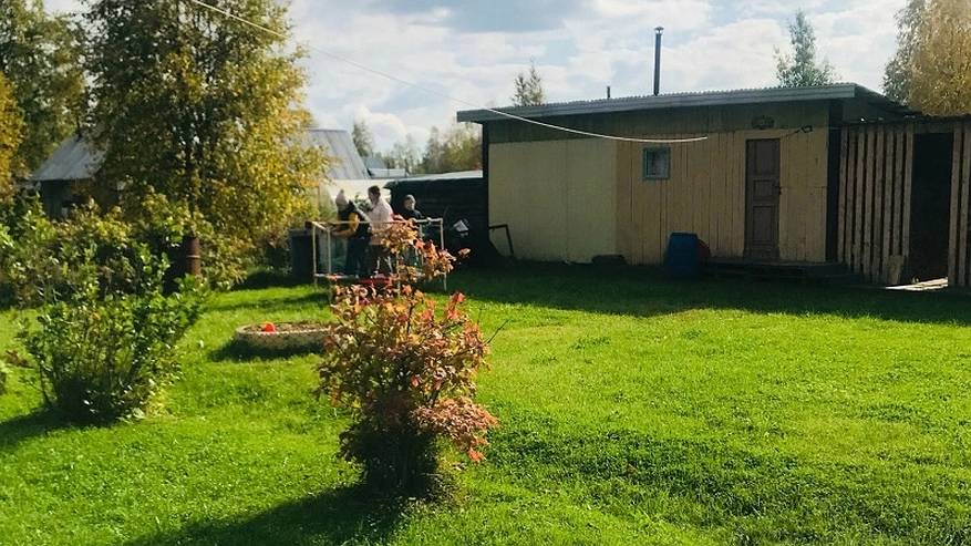 Главная картинка новости: Навсегда избавилась от белокрылки: кладу ложку в литр воды и радуюсь результату - 3 действенных способа борьбы