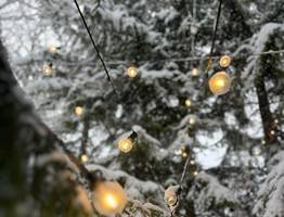 Жители Коми готовятся к рекордным январским каникулам - 2026