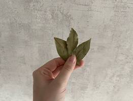 Лавровый лист засыпаю солью — весь июль не могу нарадоваться своей хитрости: полезный лайфхак для всех домохозяек