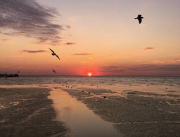 "Купаться невыносимо, все сидят на берегу": Черное море преподнесло неприятный сюрприз отдыхающим