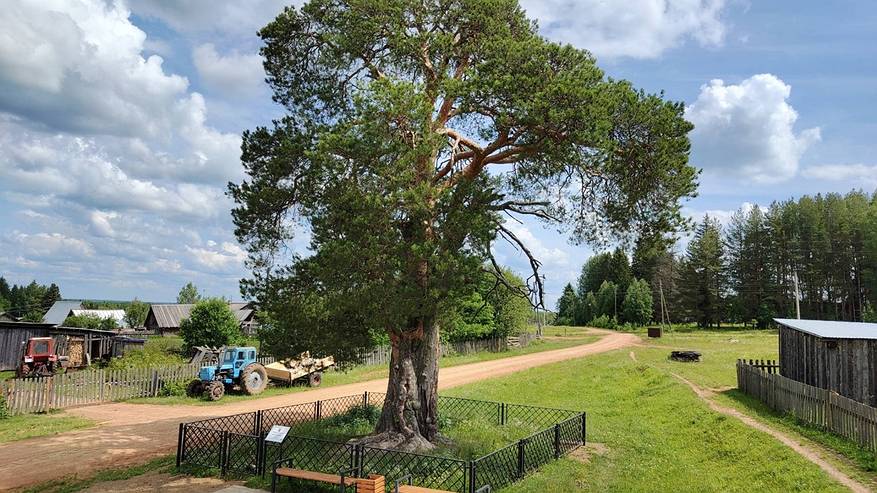 Главная картинка новости: Ученые из Коми зафиксировали уникальные традиции в экспедиции по Пермскому краю