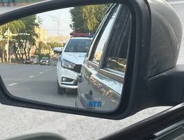 «Если это найдут в бардачке – лишение прав на месте»: ГИБДД проведет проверку всех водителей