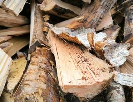 В Коми раскрыли схему незаконного экспорта леса в Турцию и Азербайджан