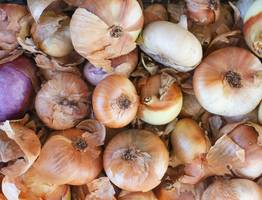 Лук растет как на дрожжах: настой, от которого перья зеленеют, а луковицы "жирнеют"