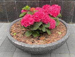 7 июля холодный циклон принесет в Коми дождливое и прохладное начало недели