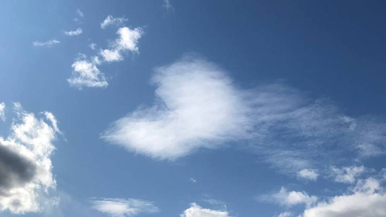 Воздух прогревается, дожди отступают: погода в Коми 8 июля