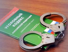 В Коми владелица приюта ответит перед законом за мучения и гибель животных: дело открыто