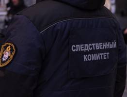 В Коми перед судом предстанет мужчина, напавший на девушку с ножом