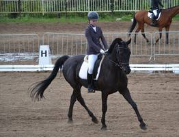 В Коми завершились соревнования по выездке: названы имена победителей