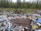 В Прилузском районе Коми ликвидирована крупная свалка на сельхозземлях