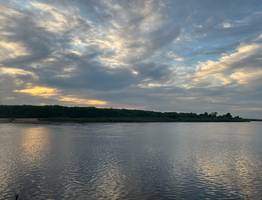 В одну из рек Коми выпустили 350 тысяч мальков сига