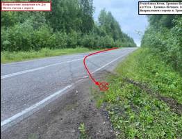 В Коми 17-летний водитель попал в ДТП