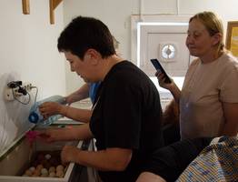 Птицеводы из Коми освоили современные технологии инкубации в Кировской области