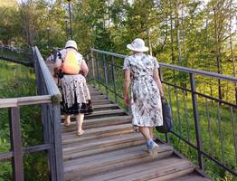 Новая льгота для пенсионеров, которым от 60 до 85 лет. Срочно оформляйте