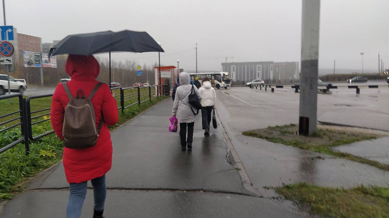 Главная картинка новости: С 19 июля температура упадет ниже десяти градусов: синоптик Роман Вильфанд ошарашил прогнозом о затяжных дождях и похолодании