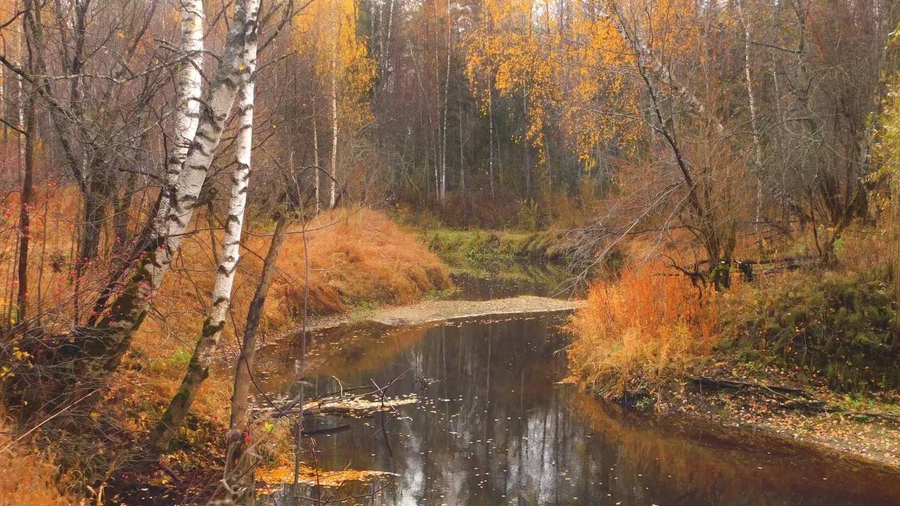 «В сентябре начнется кошмар». Синоптики озвучили новый прогноз на начало осени