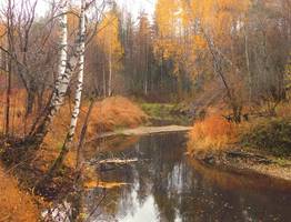 «В сентябре начнется кошмар». Синоптики озвучили новый прогноз на начало осени