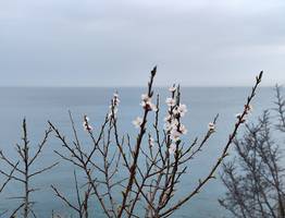 Ближе Дубая, чище Байкала, дешевле Тая: морской курорт в РФ, где не стыдно провести отпуск