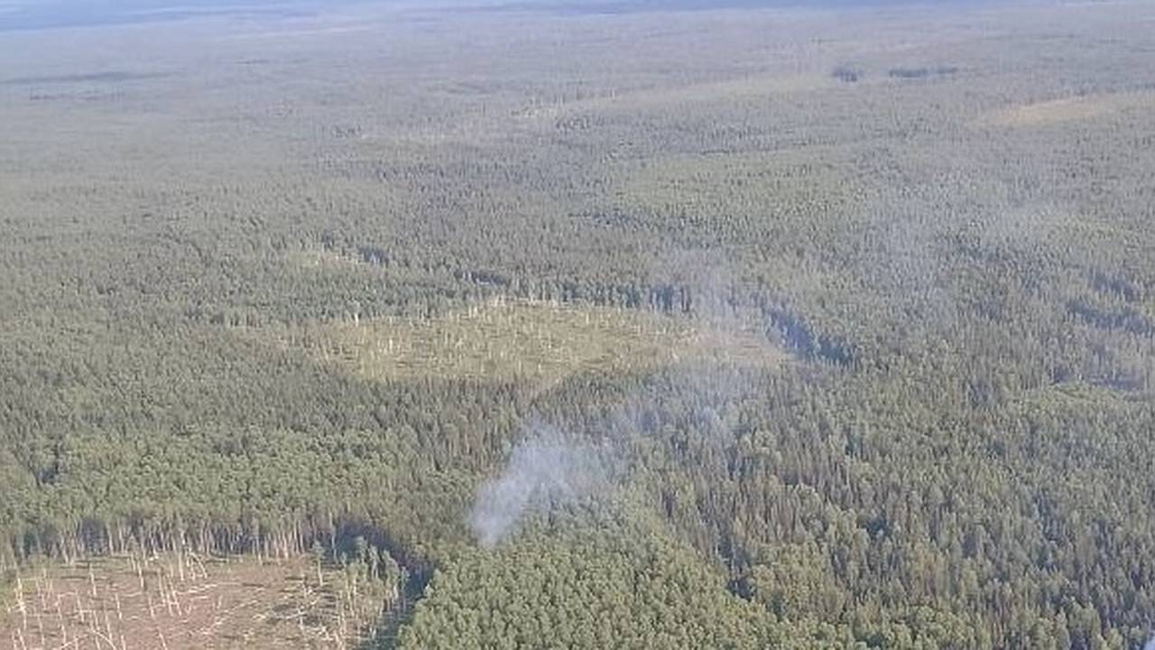 Главная картинка новости: Два лесных пожара одновременно обнаружили в окрестностях Сыктывкара