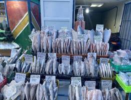 Названа самая полезная для человека рыба — нужно есть два раза в неделю. Богата селеном, фосфором и прекрасна на вкус