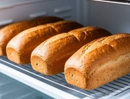 Узнал, можно ли хранить хлеб в холодильнике. Как жаль, что понял это только в 35 лет