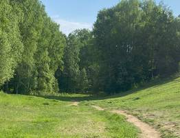 25 июля Коми окутает прохладой с редкими дождями